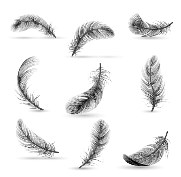 feather tattoo ideas